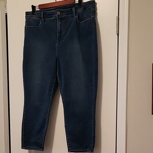 Women's Blue Jeans - Talbots - High Rise Jegging Crop - size 16p - GUC - J
